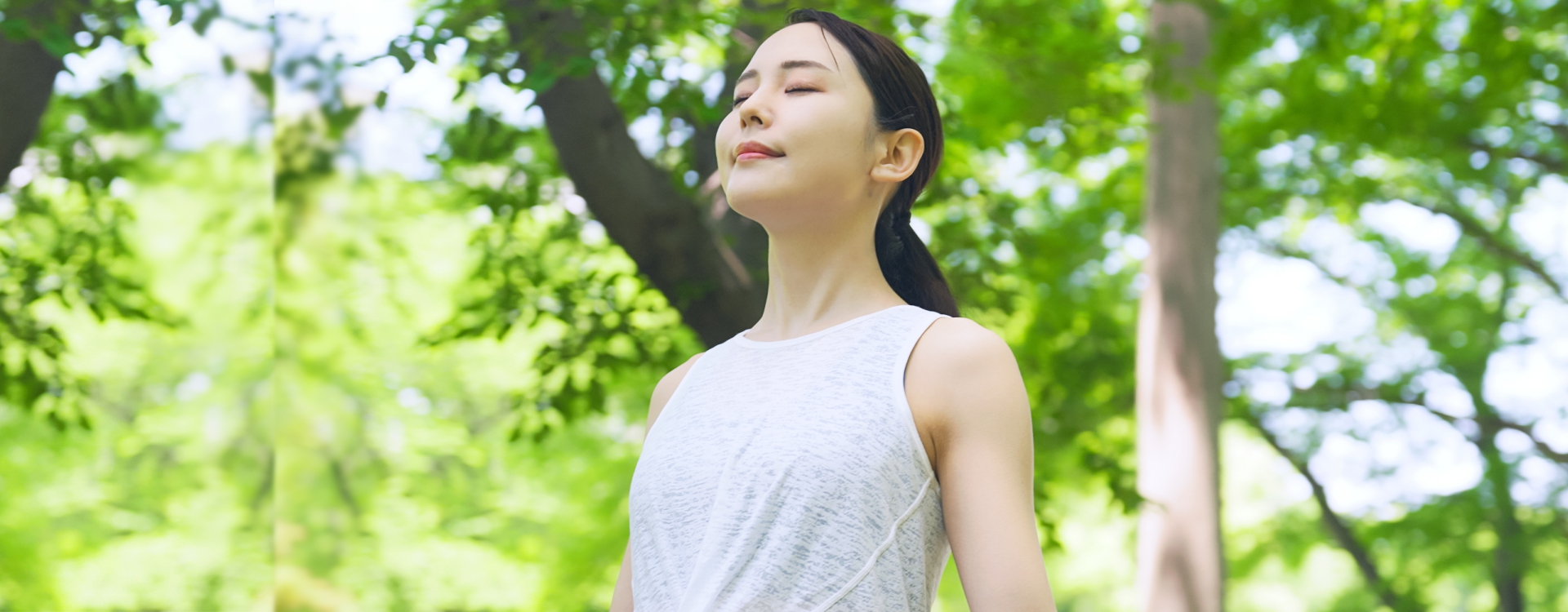 有限会社成和コーポレーション